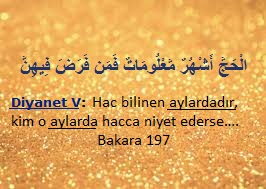 �ok uzun zamandan beridir merak ederim do�rusu 